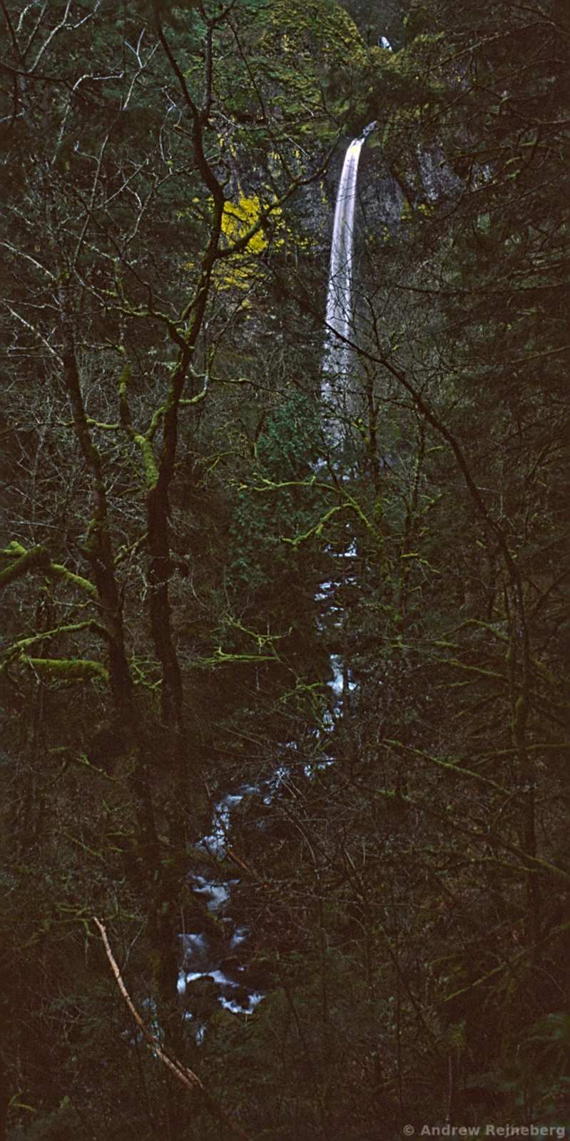 Oregon panoramas